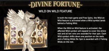 Divine Fortune Wild