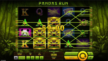 pandas run screenshot (3)