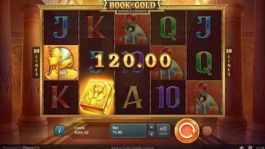 Book of Gold Double Chance screenshot (1)