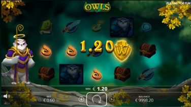 owls 2 (1)