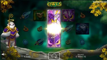 owls 3 (1)
