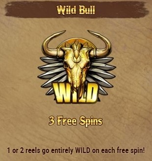 Golden Colts Wild Bull