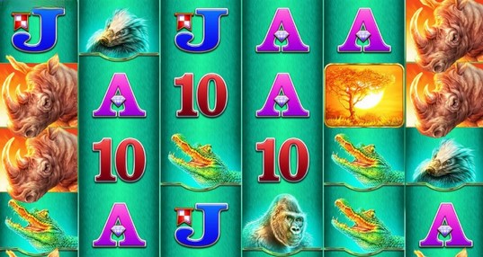 Raging Rhino Theme & Design