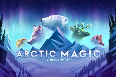 Arctic Magic