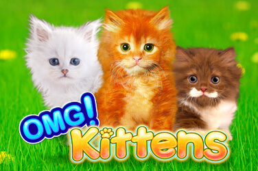 OMG Kittens