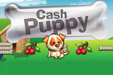 Cash Puppy