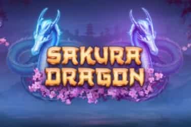 Sakura Dragon