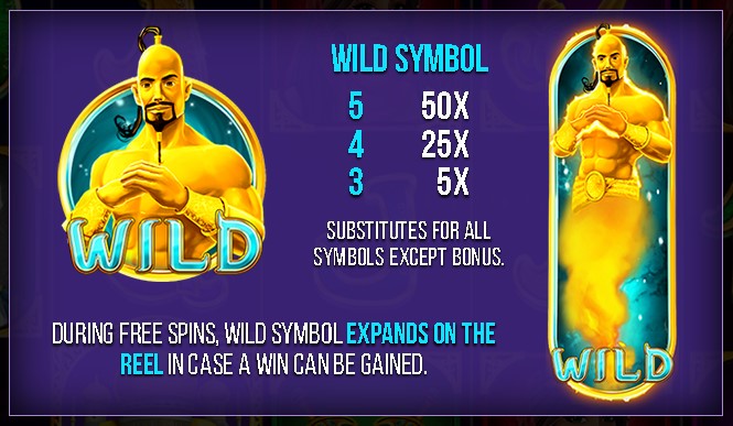 Aladdin And The Golden Palace wild