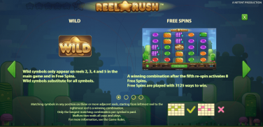 Reel Rush Wild