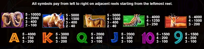 Safari King Symbols 1