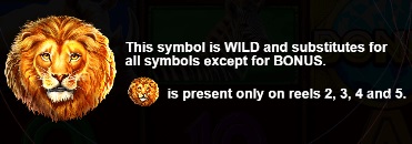 Safari King Wild