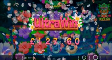 wai kiki ultra win