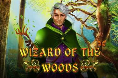 Wizard of the Woods