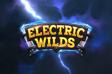 ELECTRIC WILDS