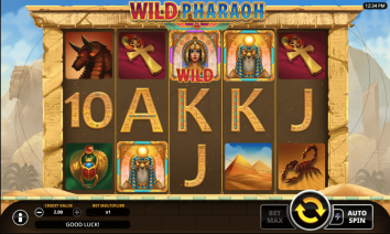 Wild pharaoh themes and graphics