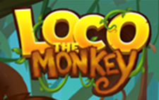 Loco The Monkey