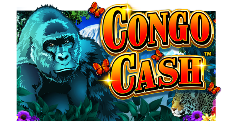 Congo Cash Video 