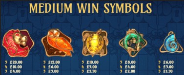 Codex of Fortune Medium Symbols