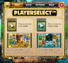 King of Cats Playerselect