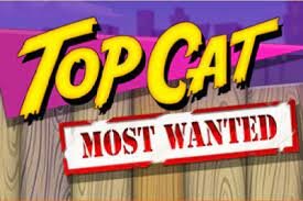 Top Cat Most Wanted