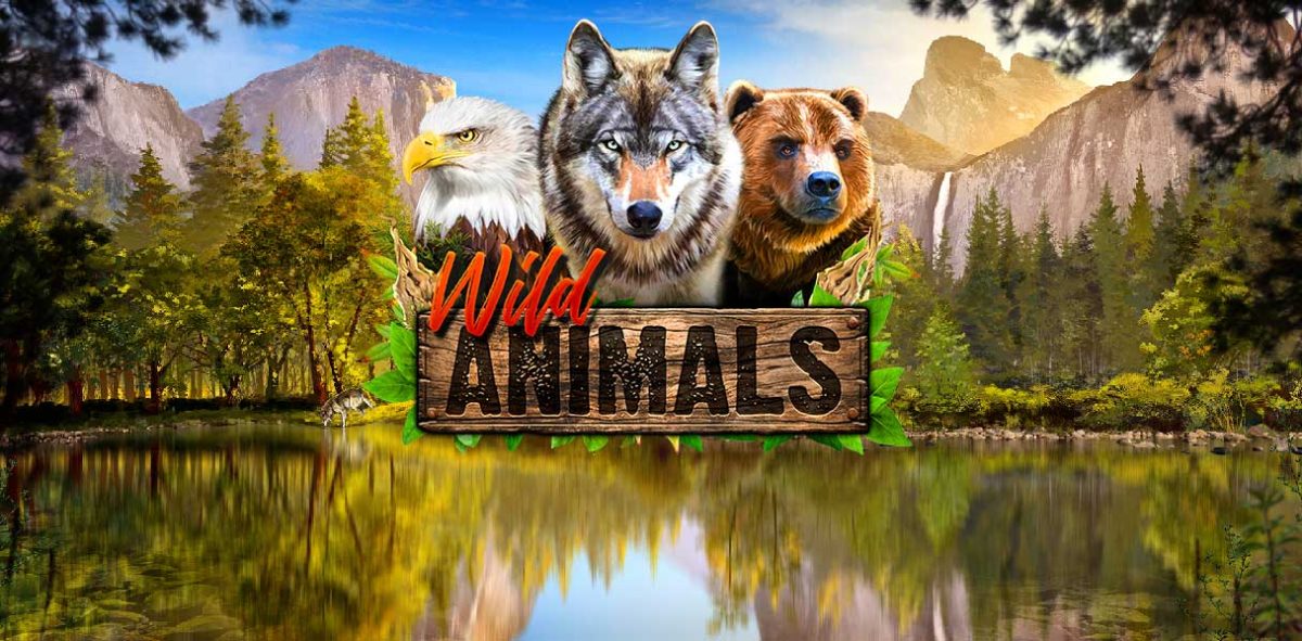 WILD ANIMALS