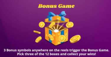 Spin Joy Society Bonus Game
