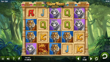 Tiger Tiger Temă și Aspect