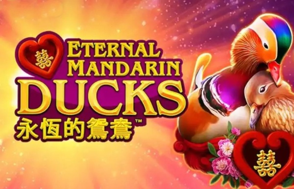 Power Prizes Eternal Mandarin Ducks