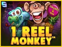 1 Reel Monkey