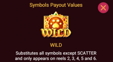 Wild symbol