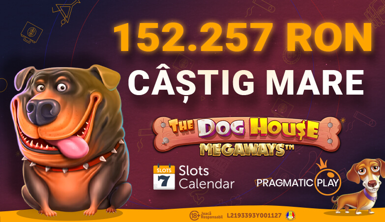 Câștig de €30.763 pe The Dog House Megaways