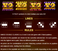 Amigo Double Classic Features