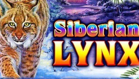 Siberian Lynx