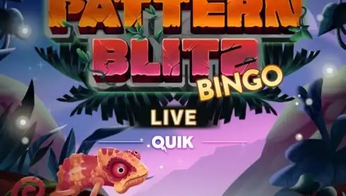 Pattern Blitz Bingo Single Player