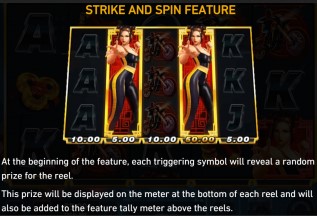 Wushu Punch Strike and spin