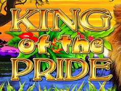 King of the Pride