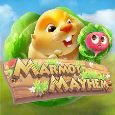 Marmot Mayhem