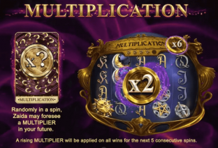 Zaida's Fortune Multiplier