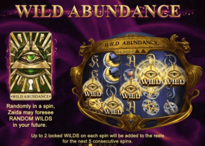 Zaida's Fortune Wild Abundence