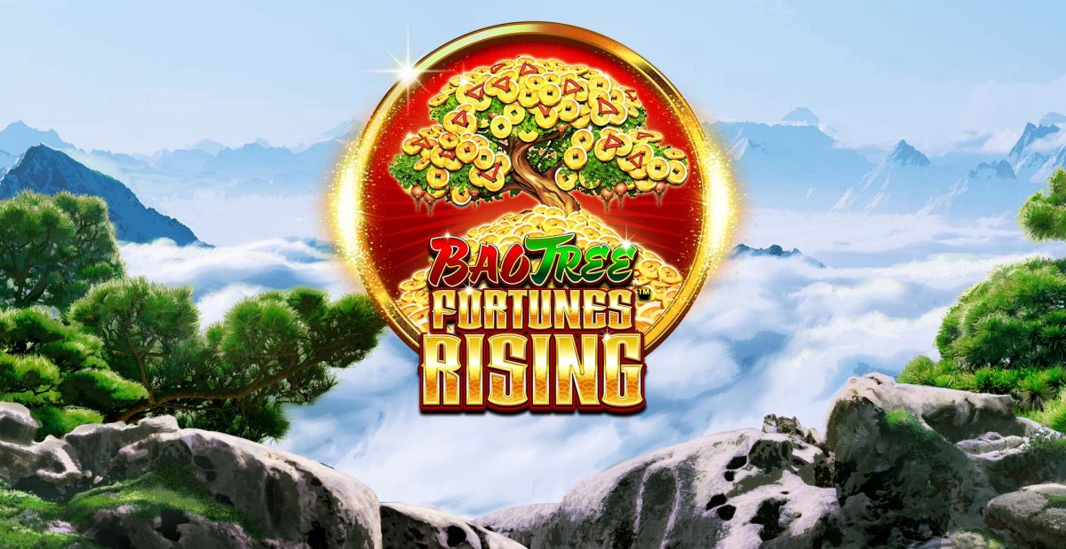 Bao Tree Fortunes Rising