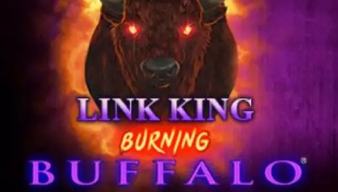 Link King Burning Buffalo