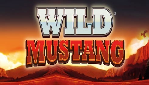 Wild Mustang