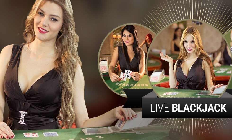 Blackjack Live Casino (Vivogaming)