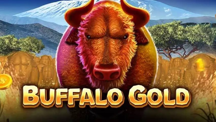 Buffalo Gold