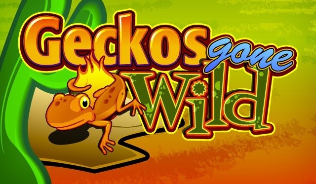 Geckos Gone Wild