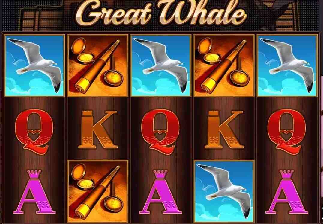 Great Whale (TipTop)