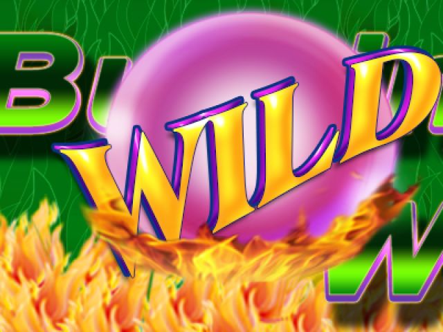Burning Wild (Spinthon)