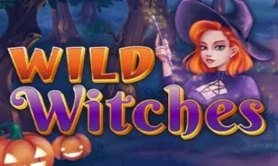 Wild Witches (Amatic Industries)