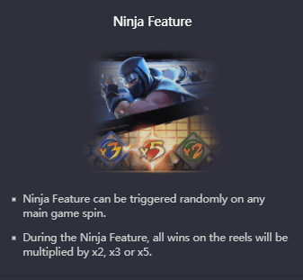 Ninja vs Samurai Ninja Feature