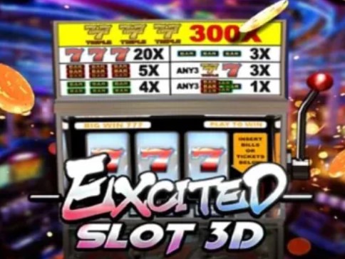 Excited Slot 3D